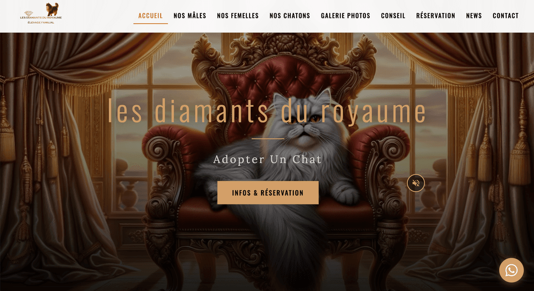 Capture d'écran du projet : Les Diamants du Royaume